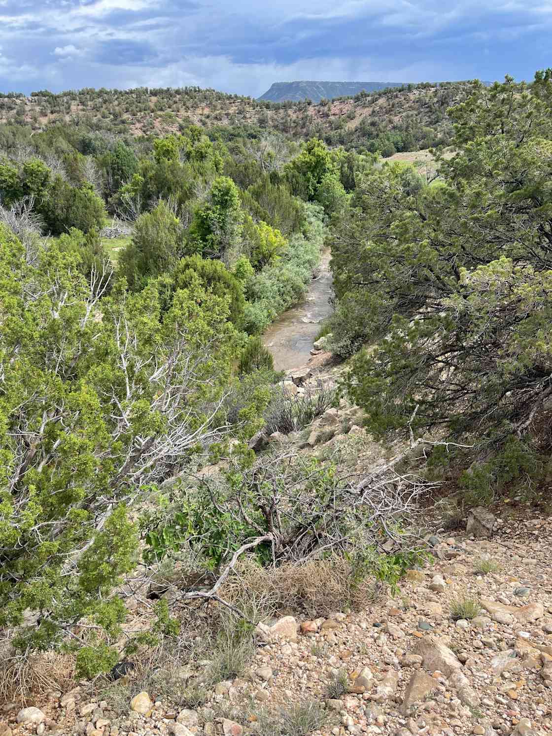 Off road adventures! Hipcamp in Soham, New Mexico