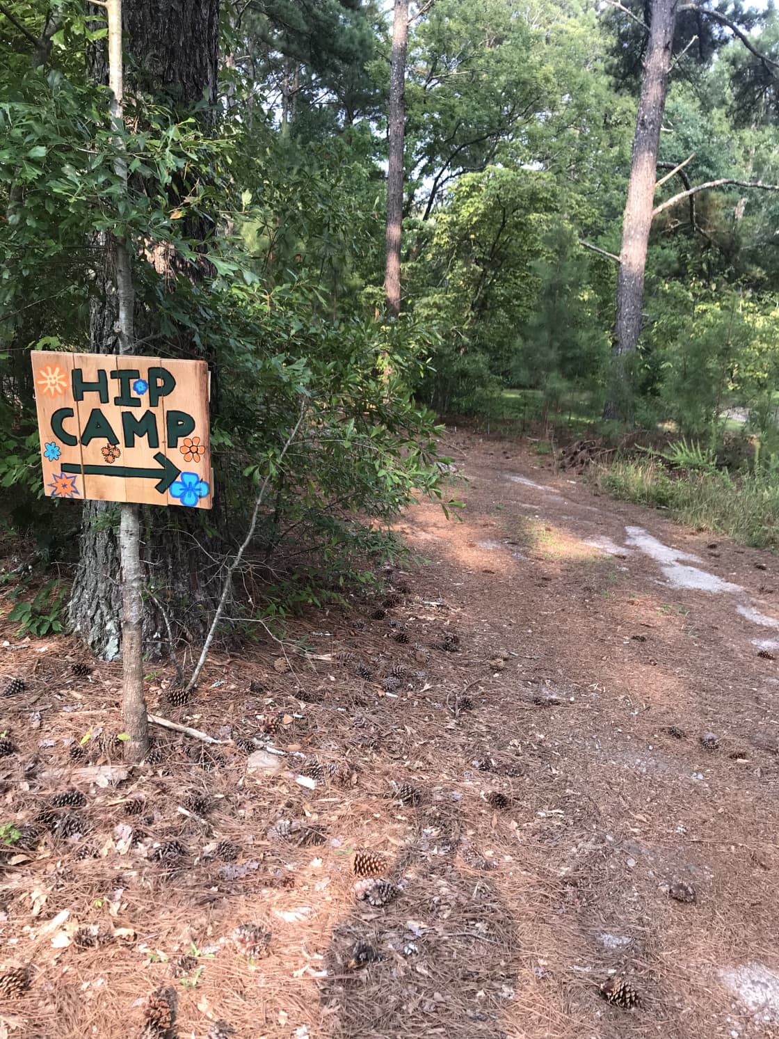 Take this road to camp
