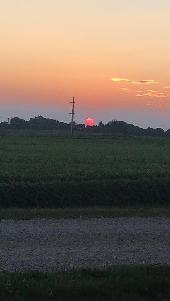 August Sunset