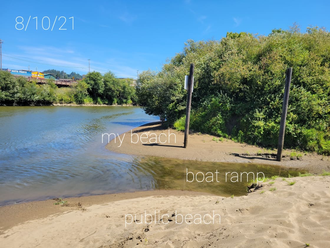 This is the beach area during low tide. During high tide the water is all the way up to the bank. The current runs in both directions depending on the tide.