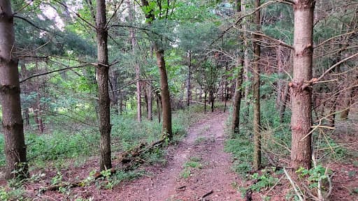 One of the trails off of the campsite