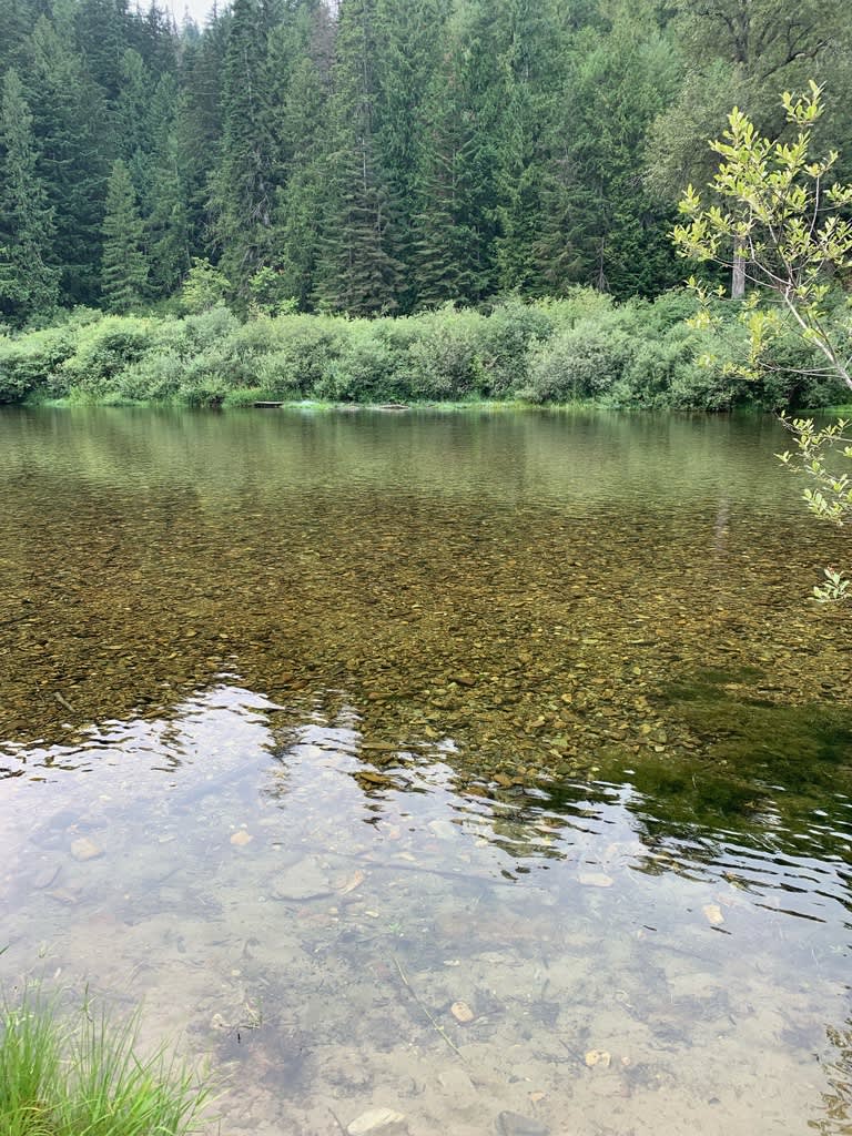 Clear waters for fishing or playing on the Coeur d'Alene River