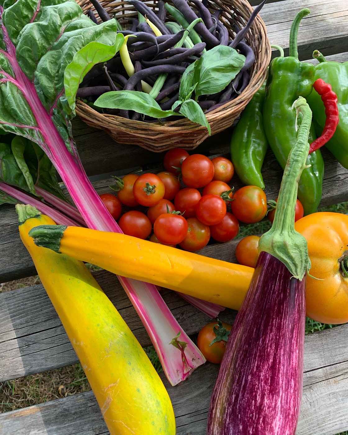 A wide variety of Organic vegetables, flowers, fruits, and herbs are grown at the farm. Each camper receives a small thank you basket containing what’s in season! 