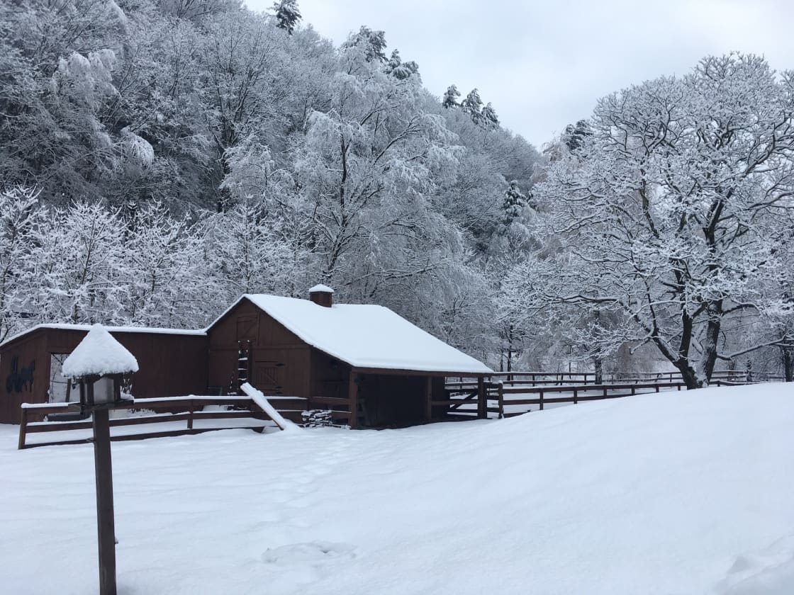 Winter View of Horse Barn
