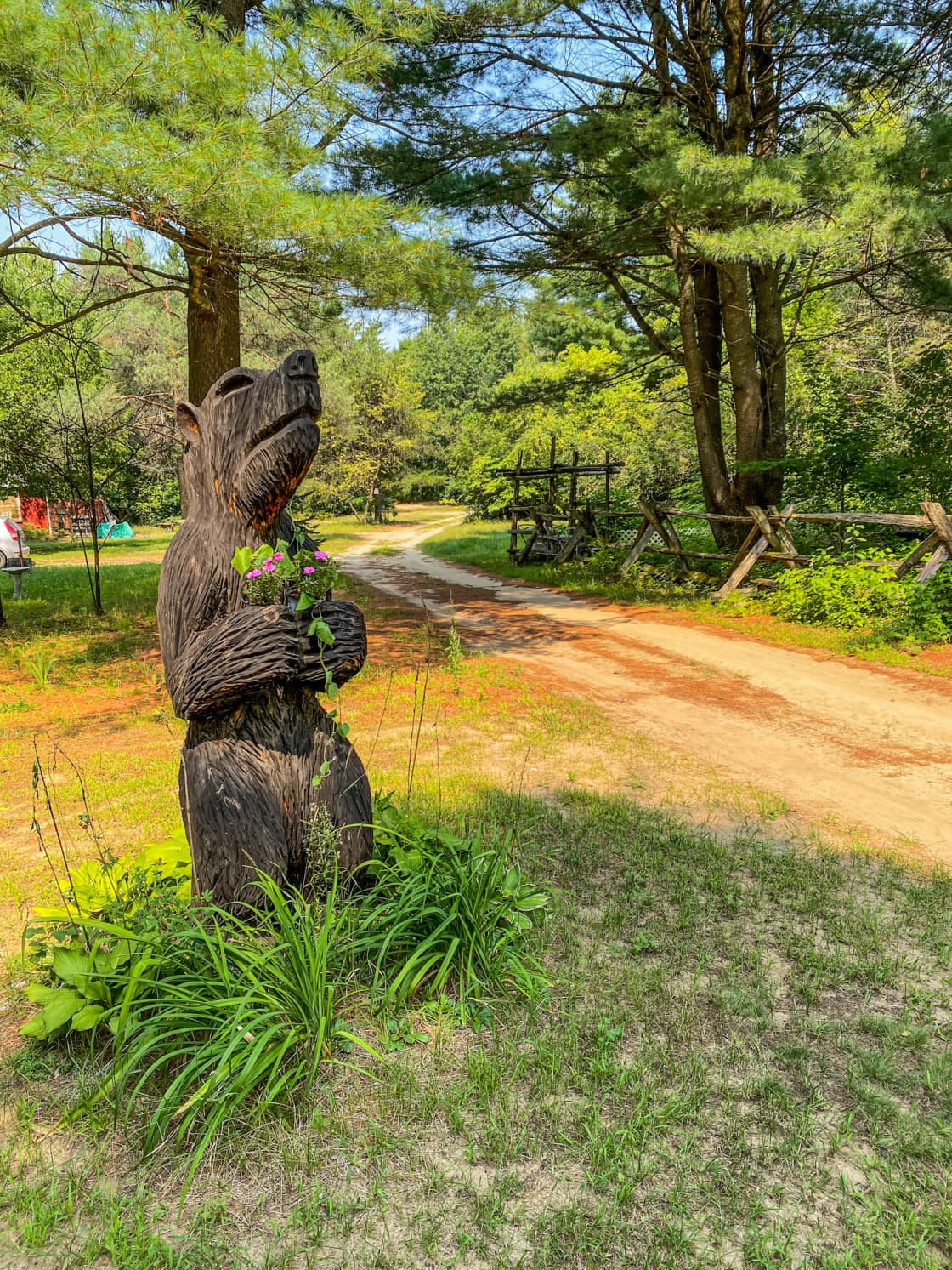 Beary Potter greets visitors who arrive at The Pines..