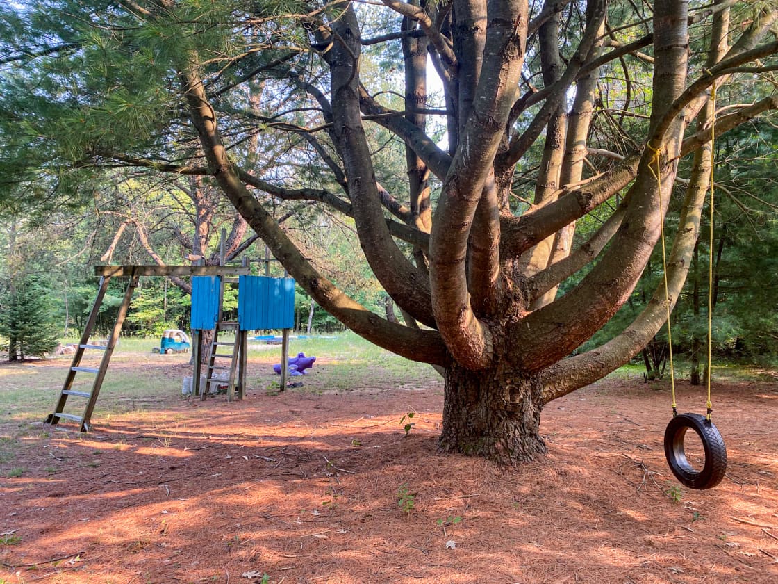 The Climbing Tree at the Children's Village