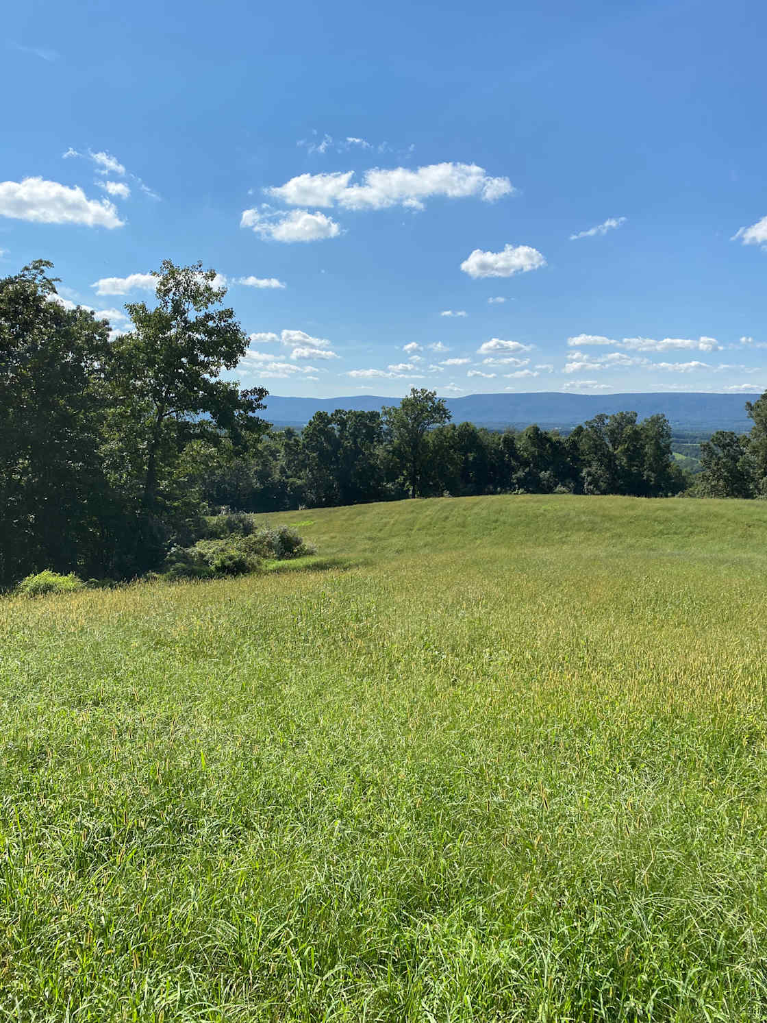 Stacey B.’s Land Hipcamp in Mc Connellsburg, Pennsylvania