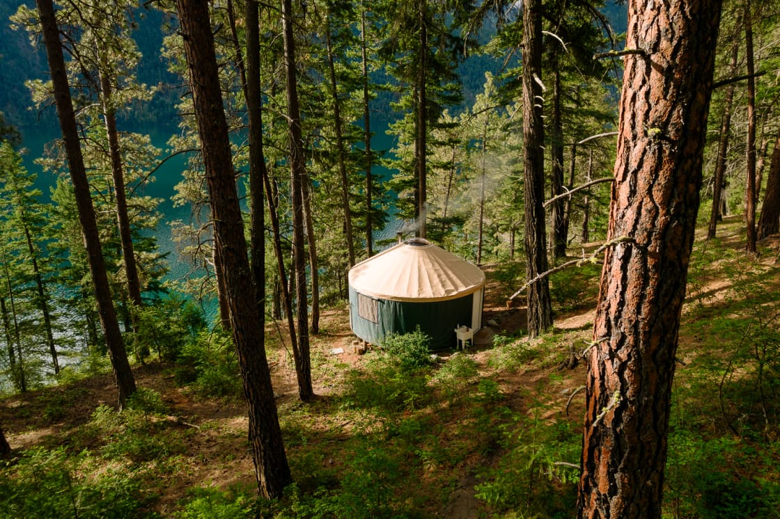 Your magical Yurt nestled in the forest