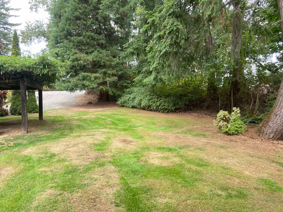 Alisha V.’s Land Hipcamp in Everson, Washington