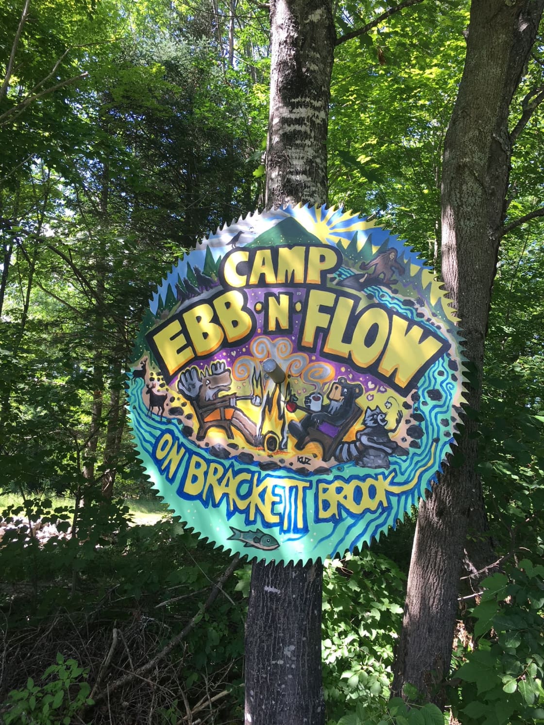 This is our camp sign painted on an actual 52 inch antique saw blade.  The property once had a working saw mill back in the 70s.