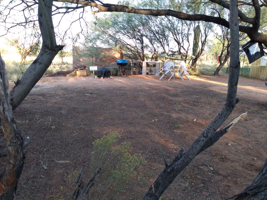 Saguaro tent camping site