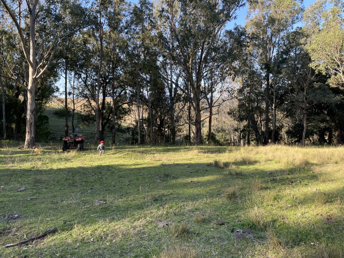 We are up in the mountain here. You would need to walk up or have a 4WD to get here.
Bell birds are constantly talking to each other. 
You are very secluded here.