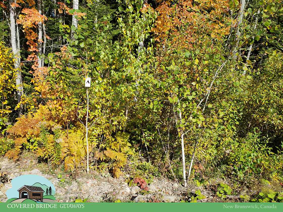 Moncton Camping NB110 Hipcamp in Moncton, New Brunswick