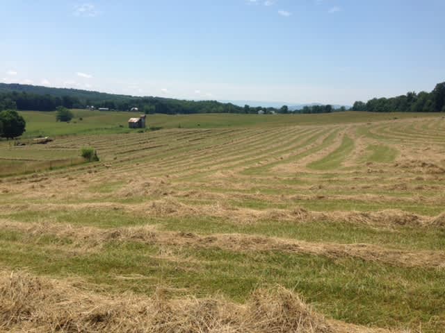 View rfom Star View during hay season