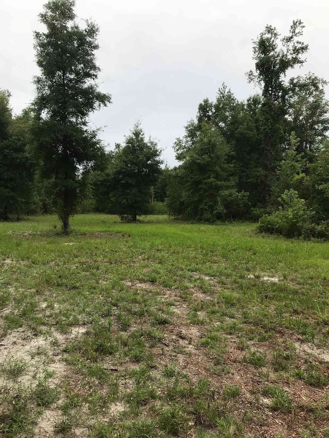 Hook's Hideaway Camp Hipcamp in Live Oak, Florida