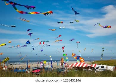 Annual Kite Festival on the beach