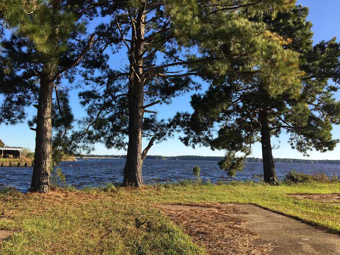 Rays Camp on Grand Bayou Reservoir Hipcamp in Coushatta, Louisiana