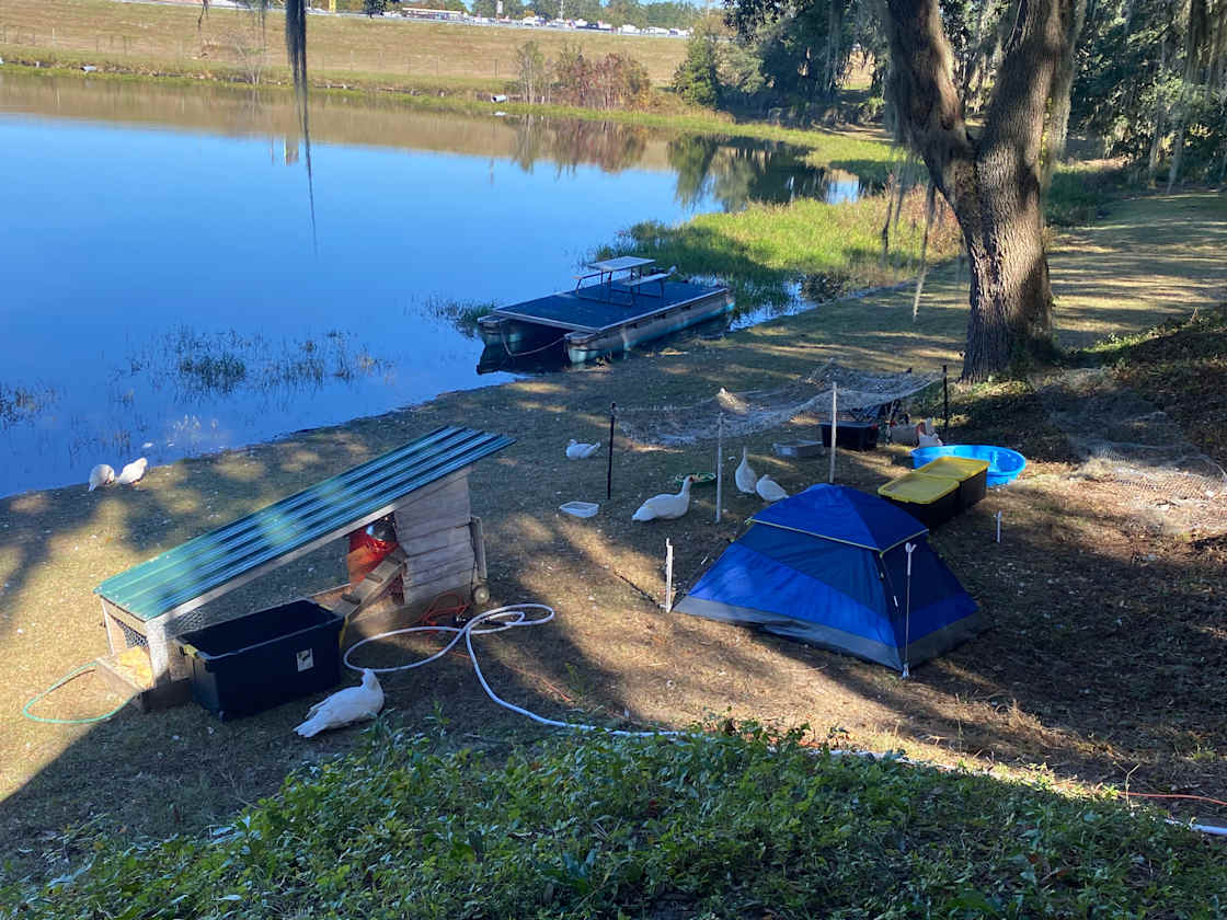 Gander Lake Hipcamp in Lake Park,