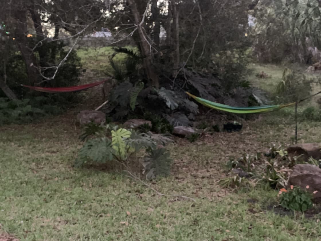 Hammocks and seating areas are sprinkled throughout the property