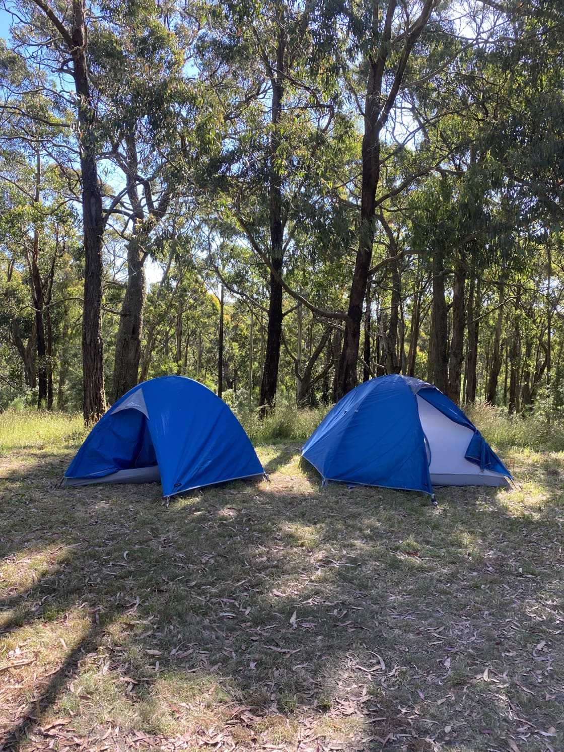 Secluded Otways Forest Camp