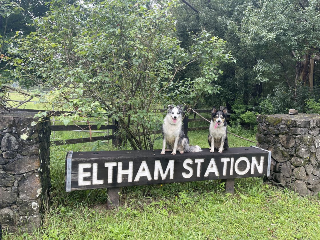 Eltham Station  Byron Hinterland