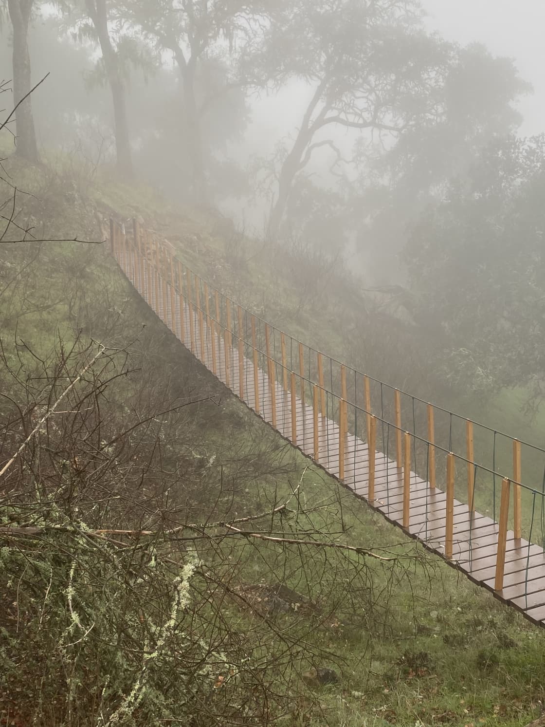 Suspension bridge on a foggy morning.