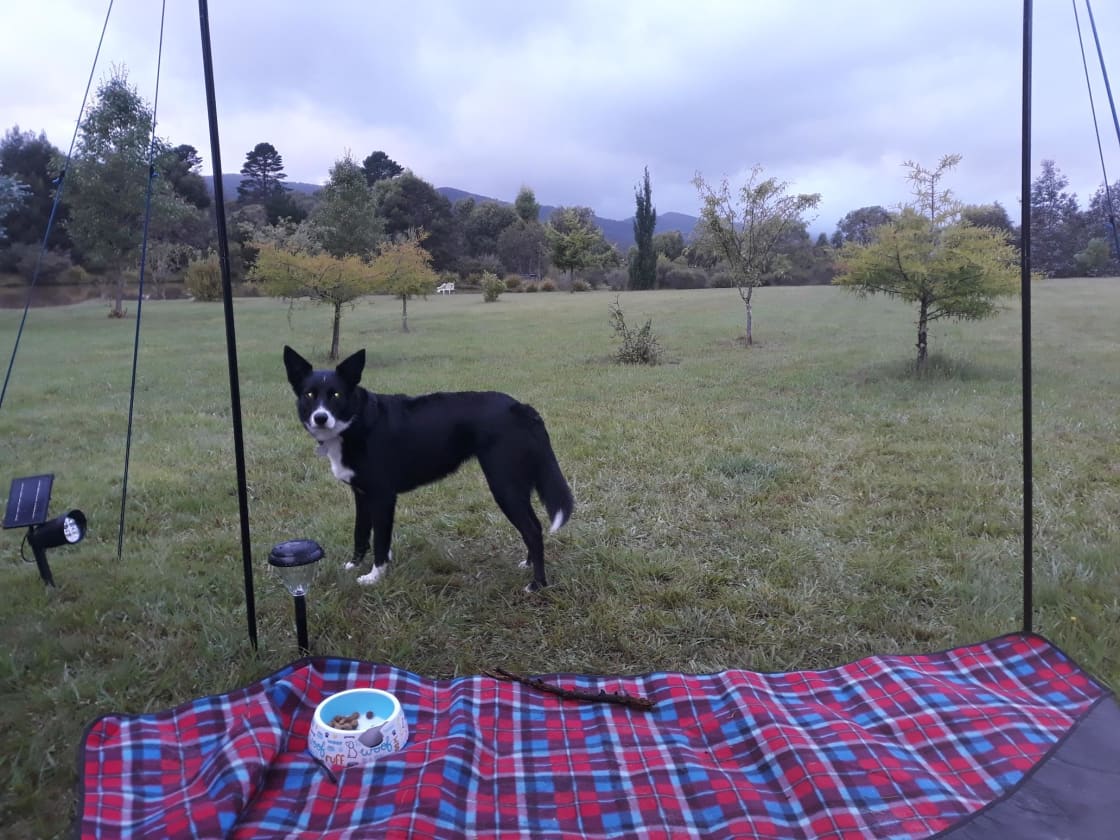 The view from my tent (that's my dog). Photo doesn't give it justice, I could see the weather approaching, the dam is at the back on the left near the white chair.