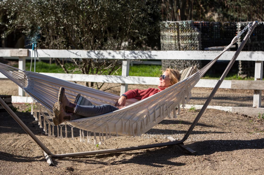 Chilling in the hammocks was one of  our favorite spots. Perfect for sunbathing early in the morning.
