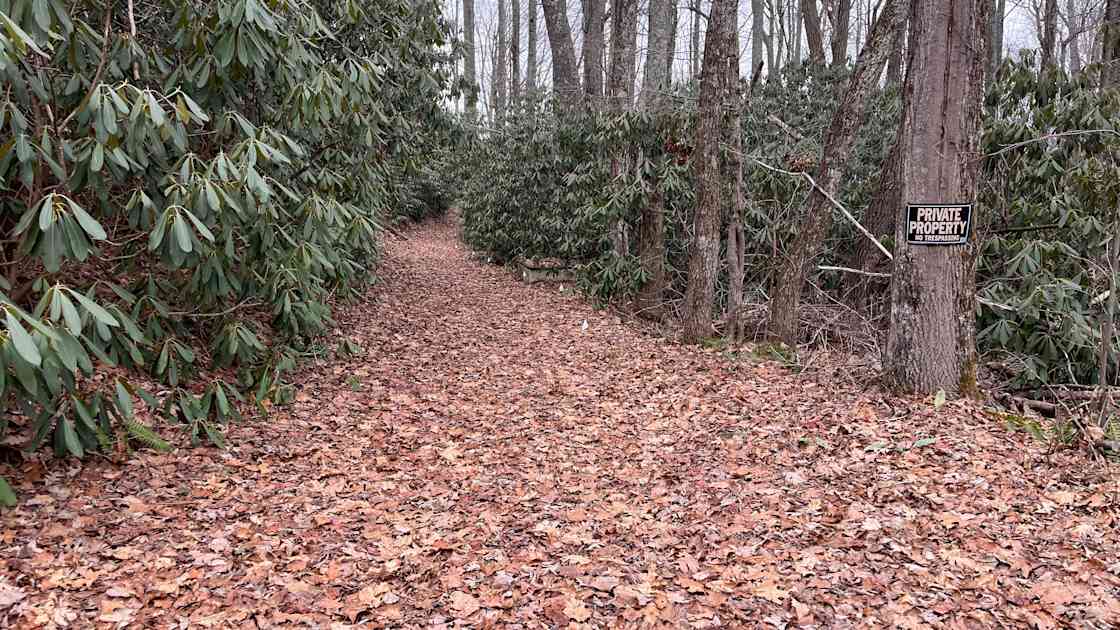 Barnhill Mountain in Fletcher, NC Hipcamp in Hoopers Creek, North