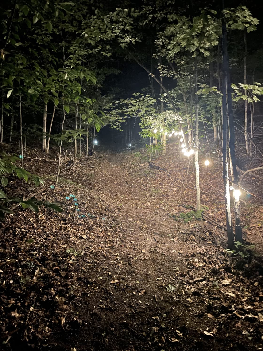 One of two trails leading to the campsite. This one, which is the best one to take to the compost toilet, will be partially lit until we go to bed.