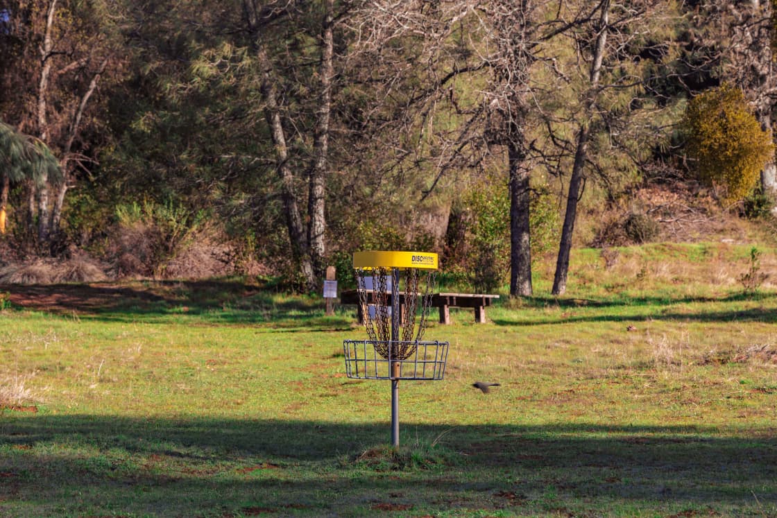 Disc golf course on the campgrounds 