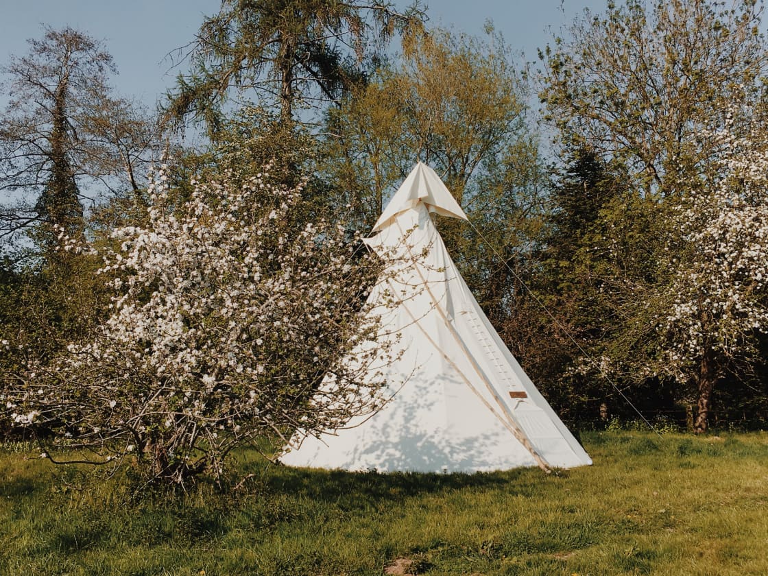 White House Glamping in Wye Valley