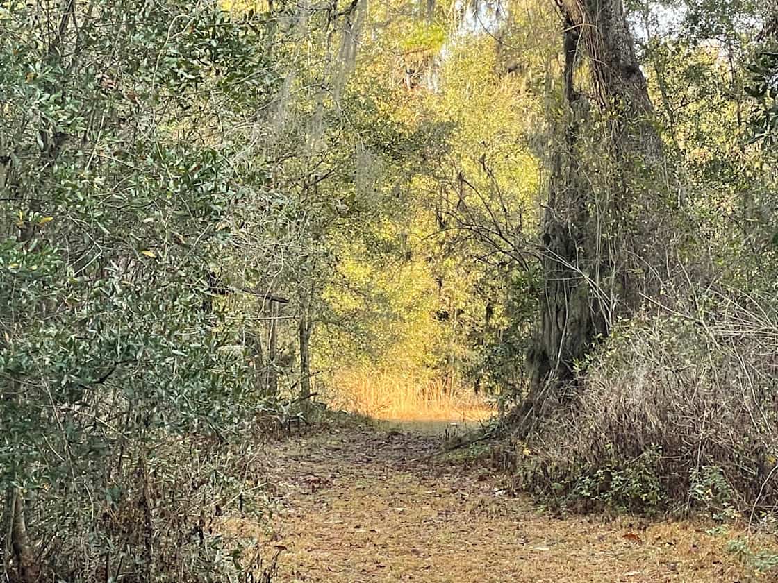 Purradise Springs Hipcamp in Fort White, Florida