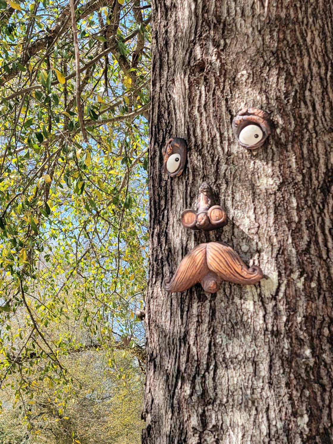 Enjoy walking through the campground finding surprises amongst the beautiful oaks.