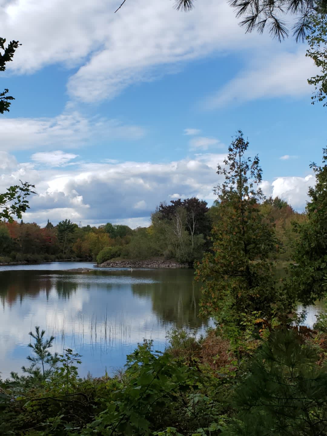 Severn River Near Washago - Green River