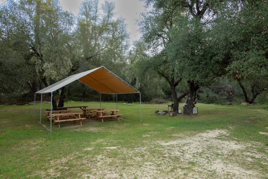 Oak campsite overview