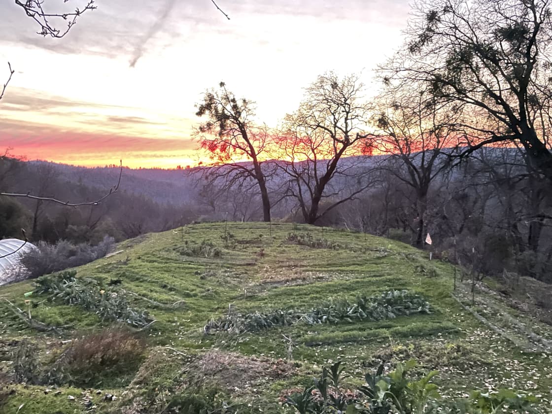 Beautiful sunrise and sunset, organic gardens and orchards all around and the amazing Yuba River just a wonderful walk to epic swim and relaxing spots..