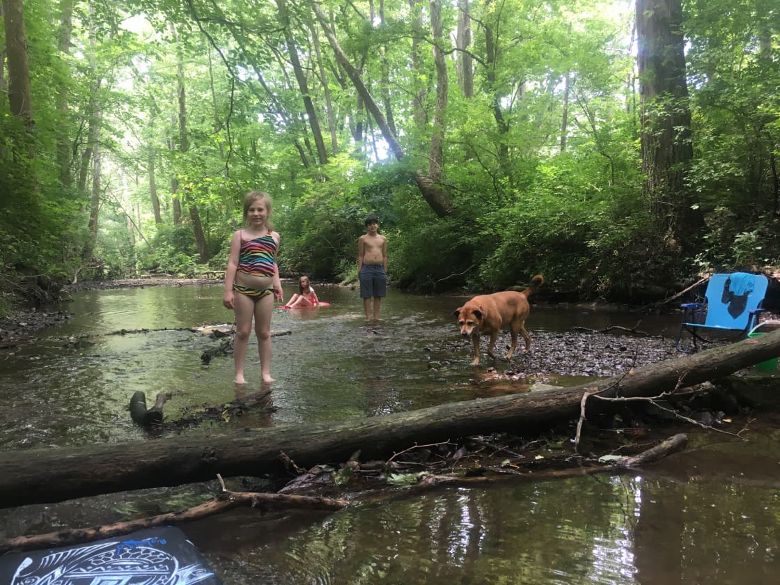 Kids playing in a portion of the creek. 