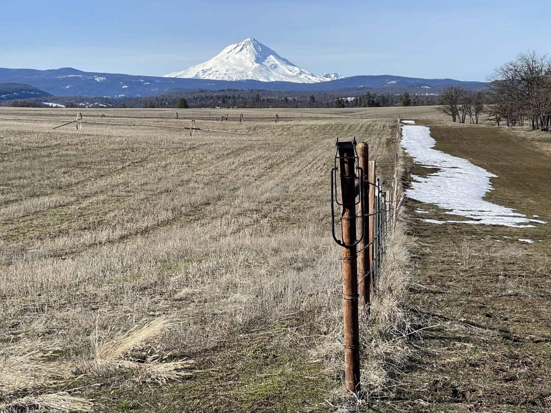 Fence line and Mt Hood.  Lots of space here for your camp or RV