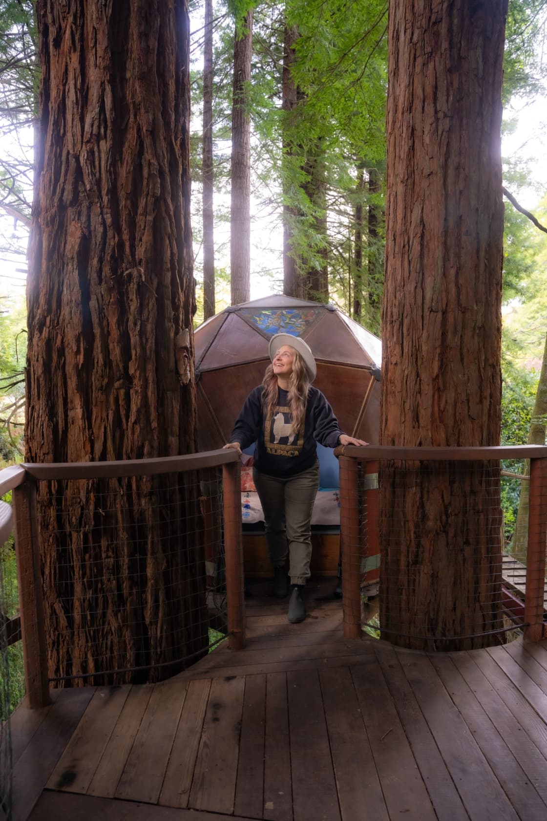 Nestled perfectly between two redwoods, the dome is made of recycled materials!