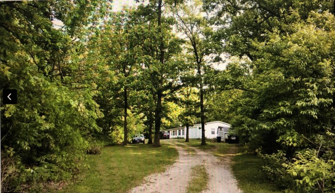 Driveway up to the property.