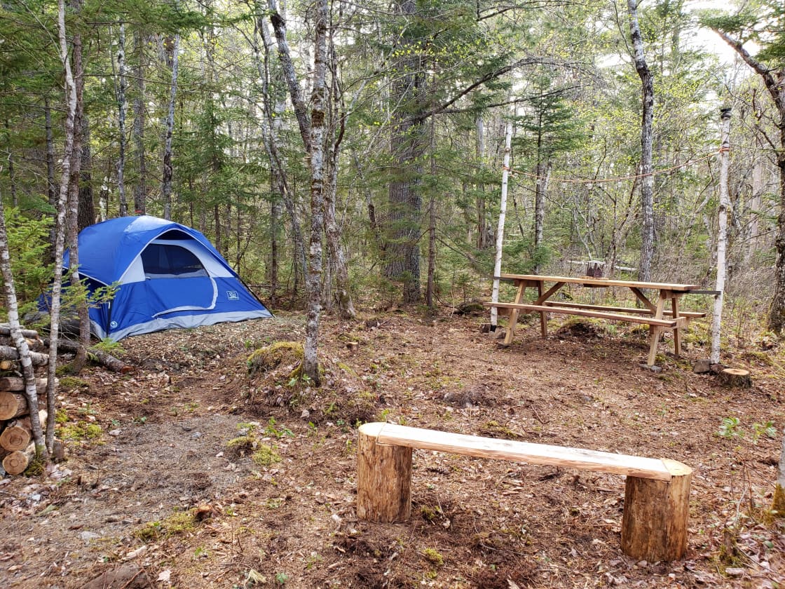 Campsite showing tent pad #1