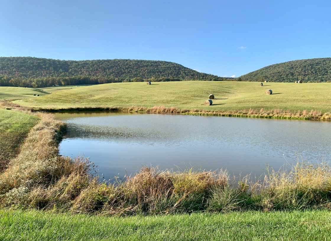 Glenmont Farm Glamping RV Hipcamp in Fort Valley, Virginia
