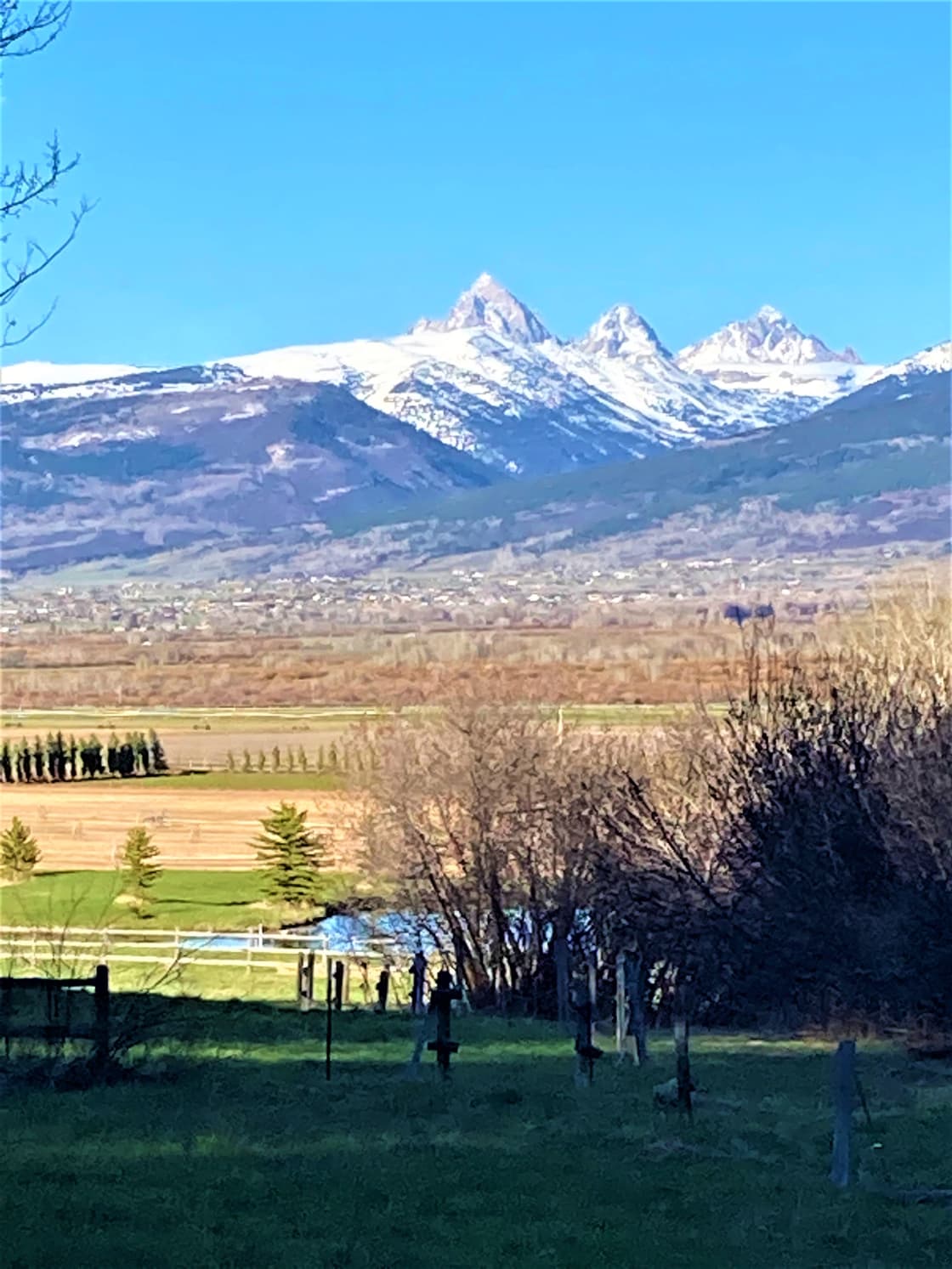 Go for a walk in the neighborhood and enjoy these world class views of the Teton range.