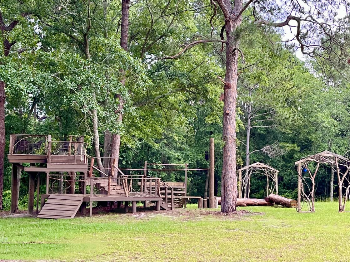 The tree loft and obstacle course is available for adults, kids, and dogs. 