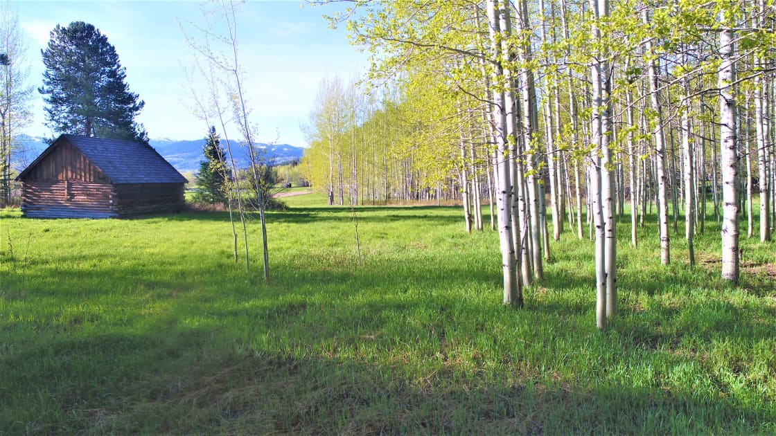Property line stops right at the edge of the Aspens. Amazing views over the valley.