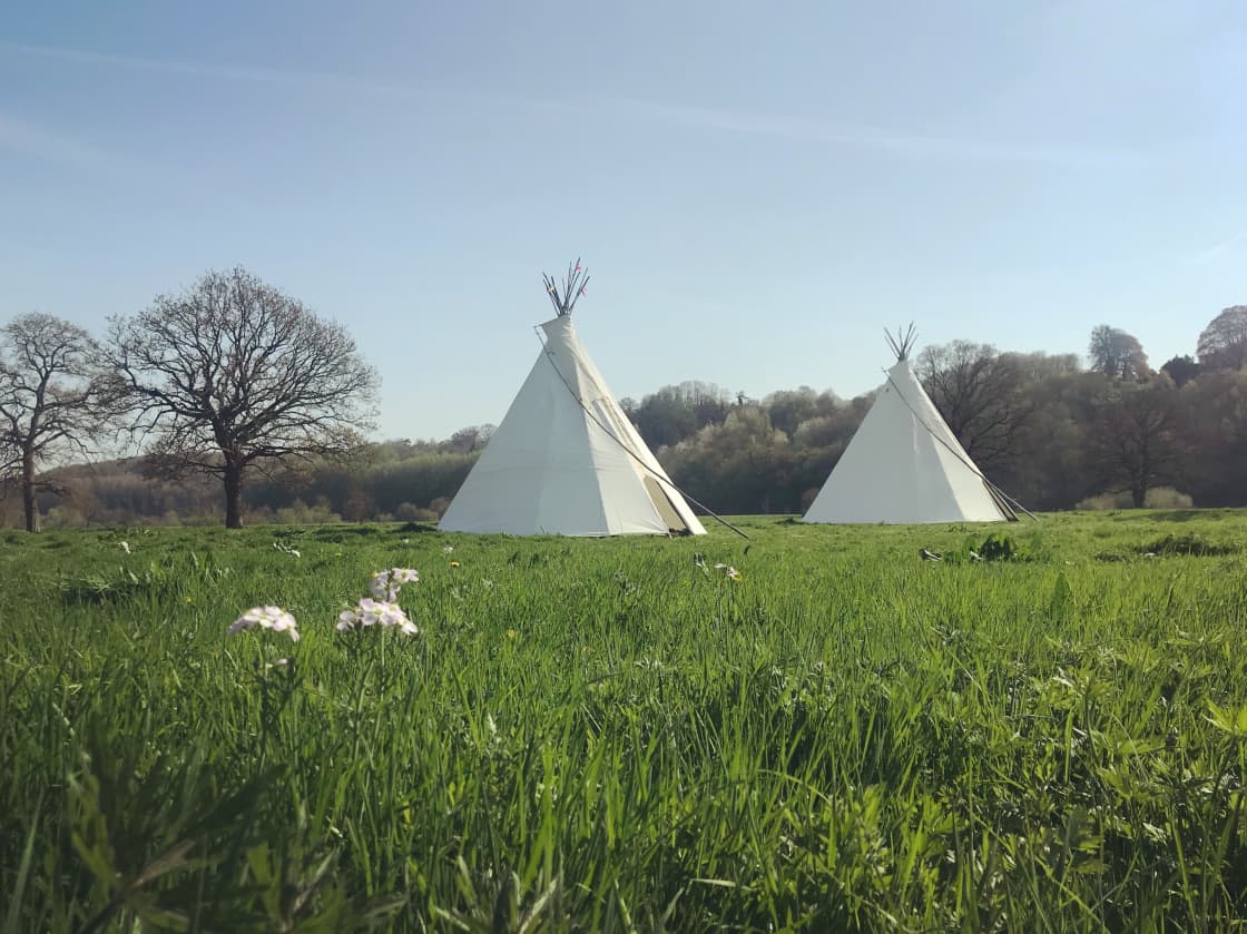 Tent pitches at Tipi Adventure