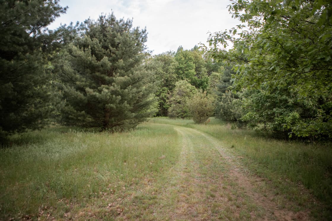 The land has mowed areas that are easy to drive on and leads to other camping areas. We also were able to walk our dogs around the property too and enjoy the beautiful lush trees.