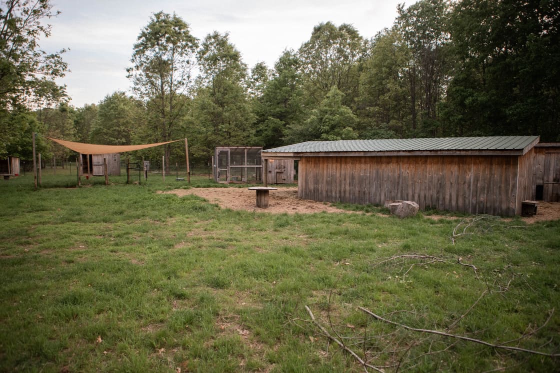 Pamela's property has a fenced area with goats! You'll probably see them out during the day!