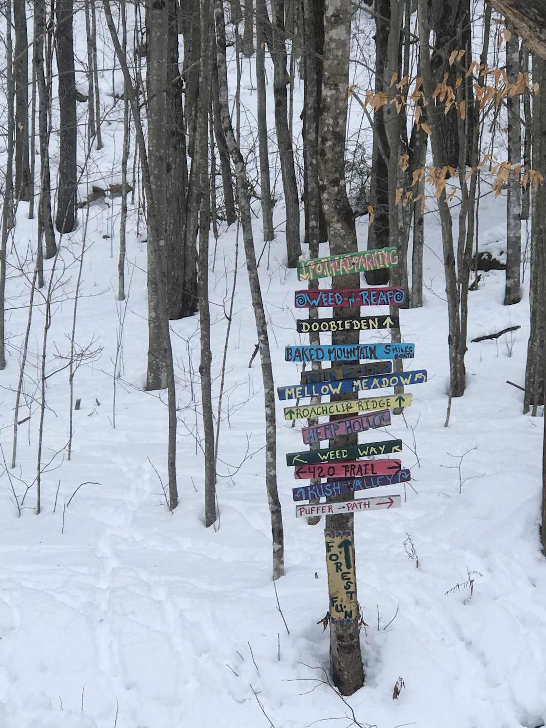 Camp Granville Vermont Hipcamp in Granville, Vermont